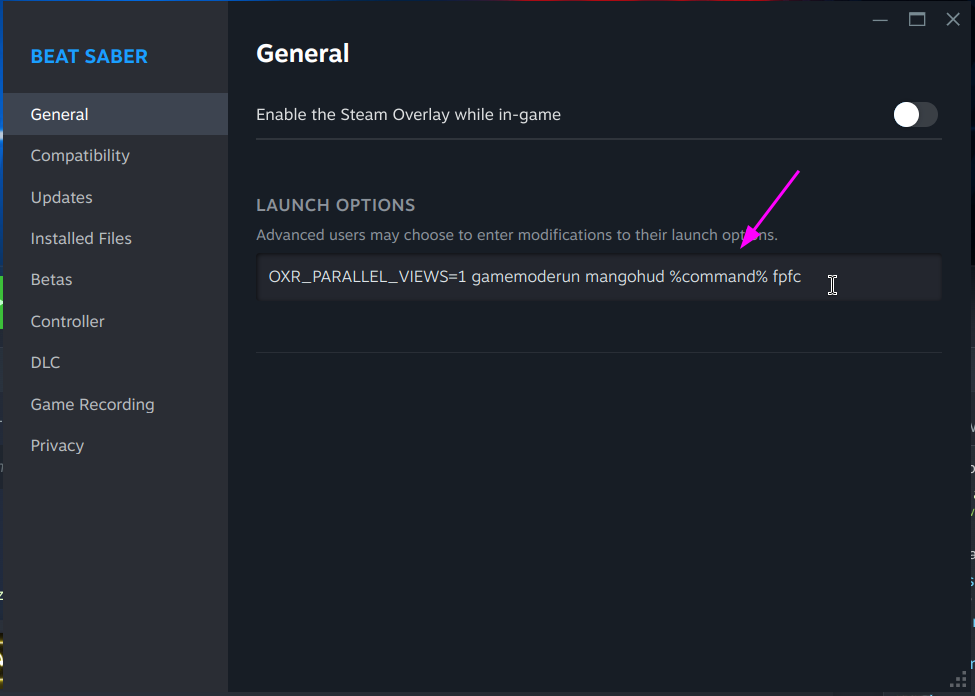 Steam Launch Options