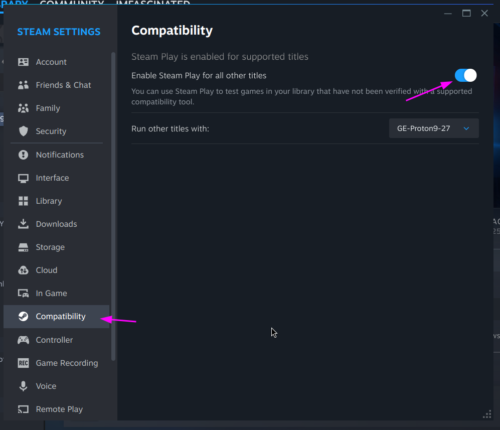 Steam Play