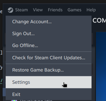 Steam Settings